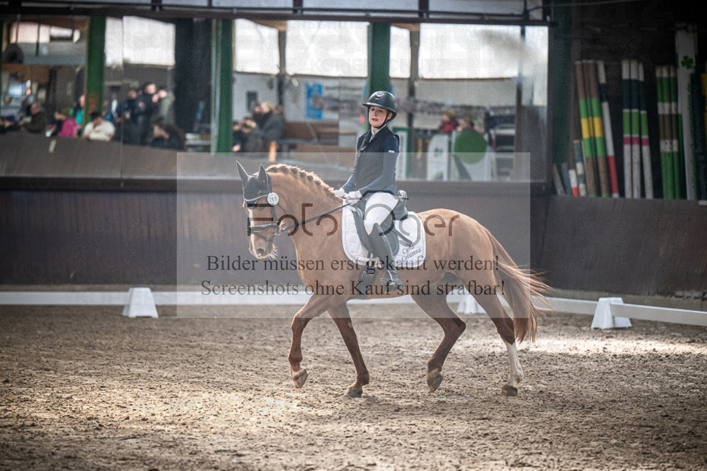 DOS_0832 | Entdecke hochwertige Reitturnierfotos von Foto Oger. Professionell, emotional und authentisch – jetzt Lieblingsmomente im Shop bestellen.Deutschlandweite Turnierfotografie. - Realisiert mit Pictrs.com