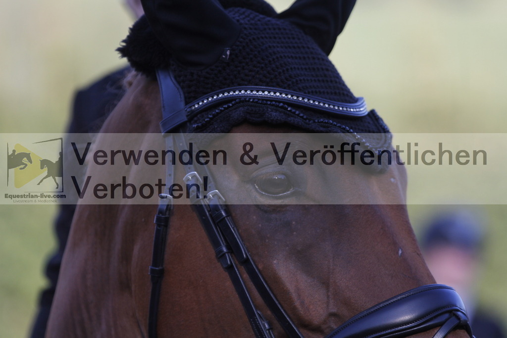 _MG_3024 | equestrian-live-com