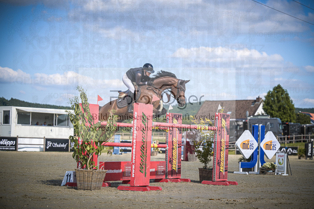 DOS_0266 | Entdecke hochwertige Reitturnierfotos von Foto Oger. Professionell, emotional und authentisch – jetzt Lieblingsmomente im Shop bestellen.Deutschlandweite Turnierfotografie. - Realisiert mit Pictrs.com