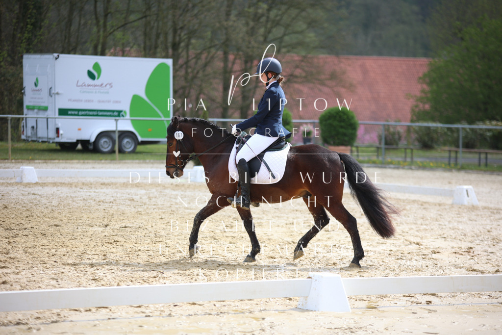 IMGT5032 | pl-fotografie