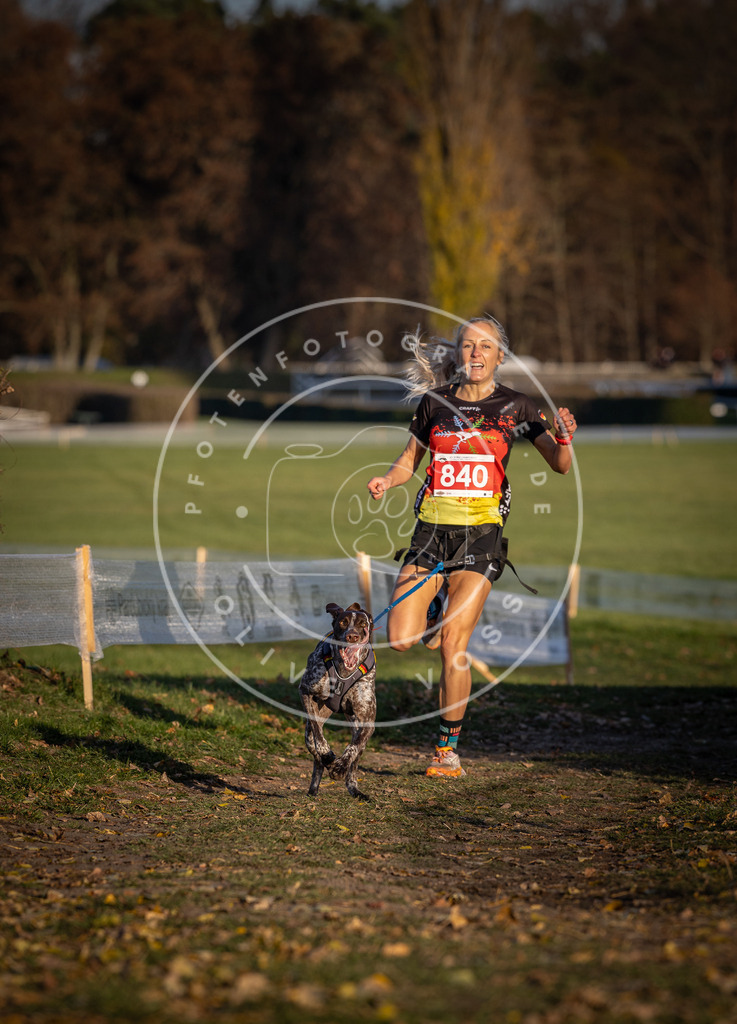 CaniXpix_DV3A3613 | Hundefotografie, Tierfotograf, Pfotenfotografie, Fotoshooting Hund, Hunde Portrait, Hundesport, Hundeportraits, Heideshooting, Hunde, Sportfotograf, Hundefotograf, Turnierhundsport, THS,  - Realisiert mit Pictrs.com