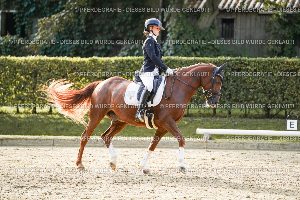 DSC04682 | Pferdegrafie