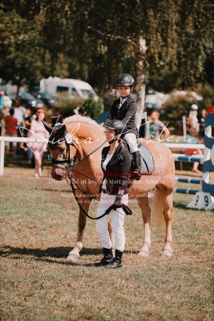 DSC_6082 | Pferde- und Turnierfotografie in Westsachsen. Pferdeportraits, Auftragszeichnungen und intuitive Kunst.