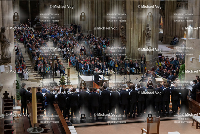 TAM25_K.01__Michael-Vogl_016_3663 | Tage Alter Musik Regensburg K.00 Dom St. Peter Regensburger Domspatzen La Cetra Basel (Schweiz) 1050 Jahre Regensburger Domspatzen 500. Geburtstag Giovanni Pierluigi da Palestrina Leitung Christian Heiß Foto: Michael Vogl
