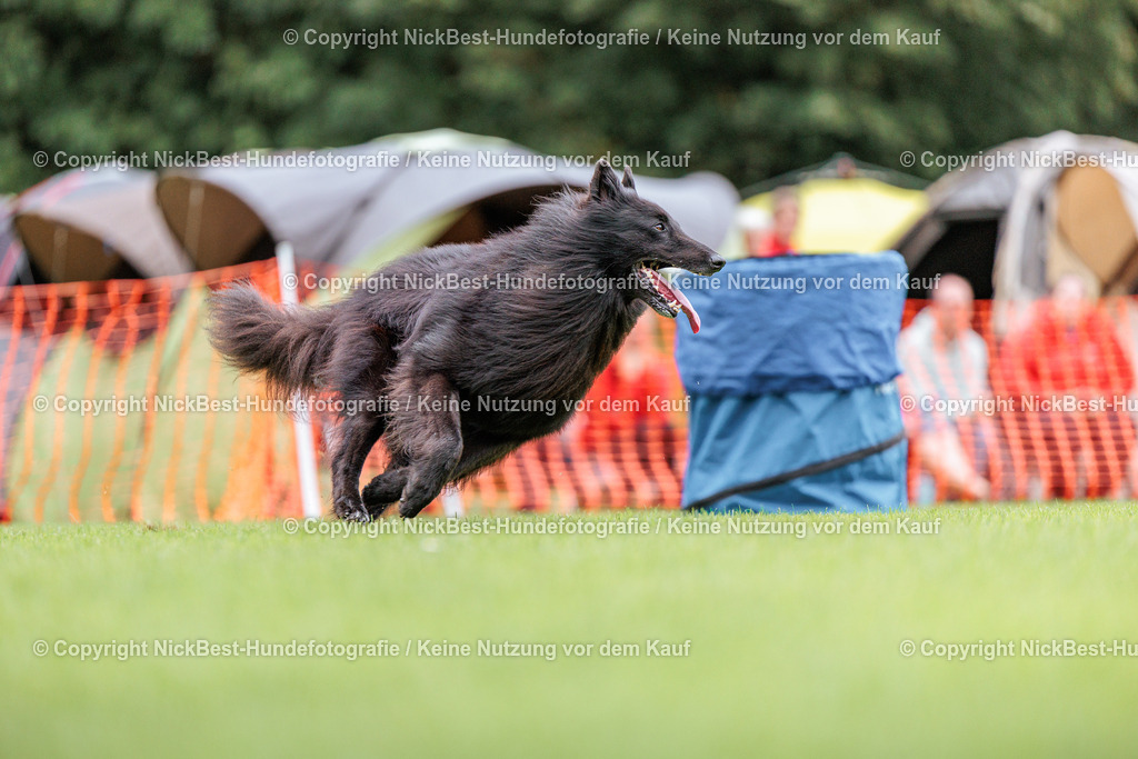 BSP Hoopers-H3 T2 Tag2-2026-Nickbest-Hundefotografie-TuS Komet Arsten e.V.-1543 | Dein Hund! Dein Moment! Deine Erinnerungen! Hundefotografie in Bremen Blumenthal. Ich fange die besonderen Momente deines Vierbeiners ein – ob Indoor mit Blitzanlage oder in der freien Natur. Sicher dir dein Moment und dein Termin für eure Erinnerungen.