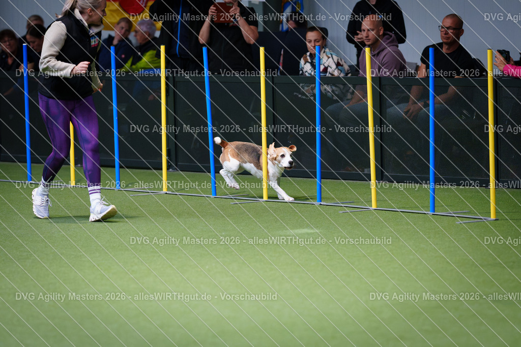 allesWIRTHgut_Tierfotografie-DVG_Agility_Masters_2026-11_22-7R505818 | Professionelle Tierfotografie in Mönchengladbach von Daniel Wirth (allesWIRTHgut). Liebevolle & natürliche Bilder von Hunden & Katzen für unvergessliche Erinnerungen.