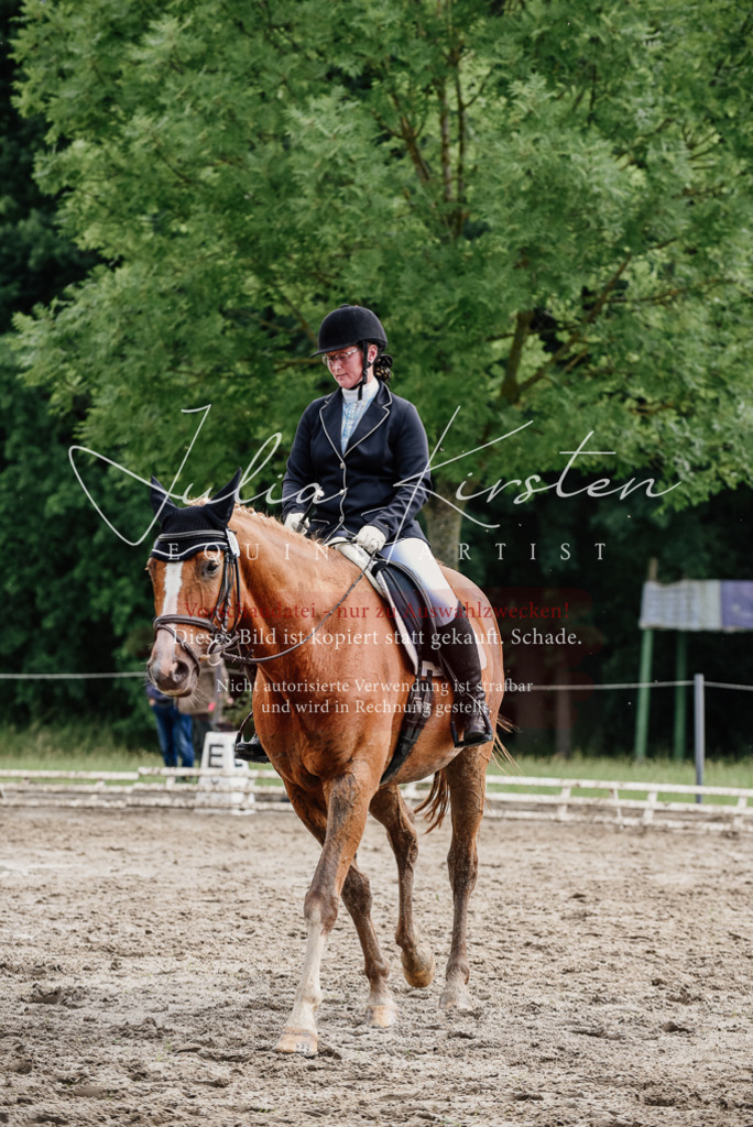 DSC_0729 | Pferde- und Turnierfotografie in Westsachsen. Pferdeportraits, Auftragszeichnungen und intuitive Kunst.