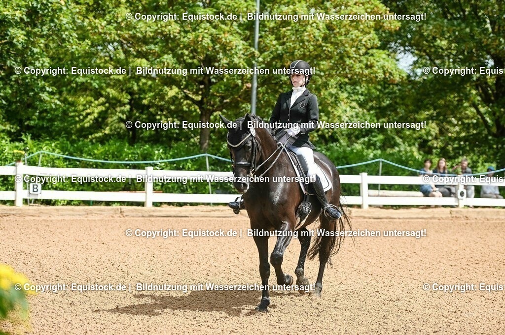 20230716_01_Dressurprüfung Kl.M_0002 | equistock