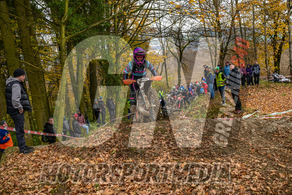 NZ8_6766 | grenznic640