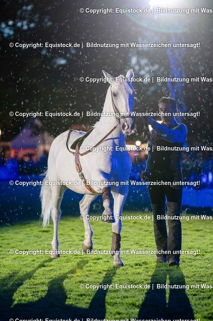 20250606_Lange-Pferdenacht_1102 | Foto: Thomas Hartig