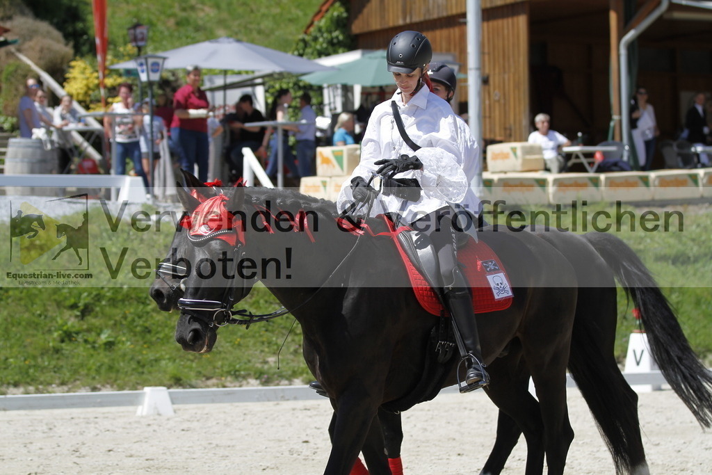 _MG_7492 | equestrian-live-com