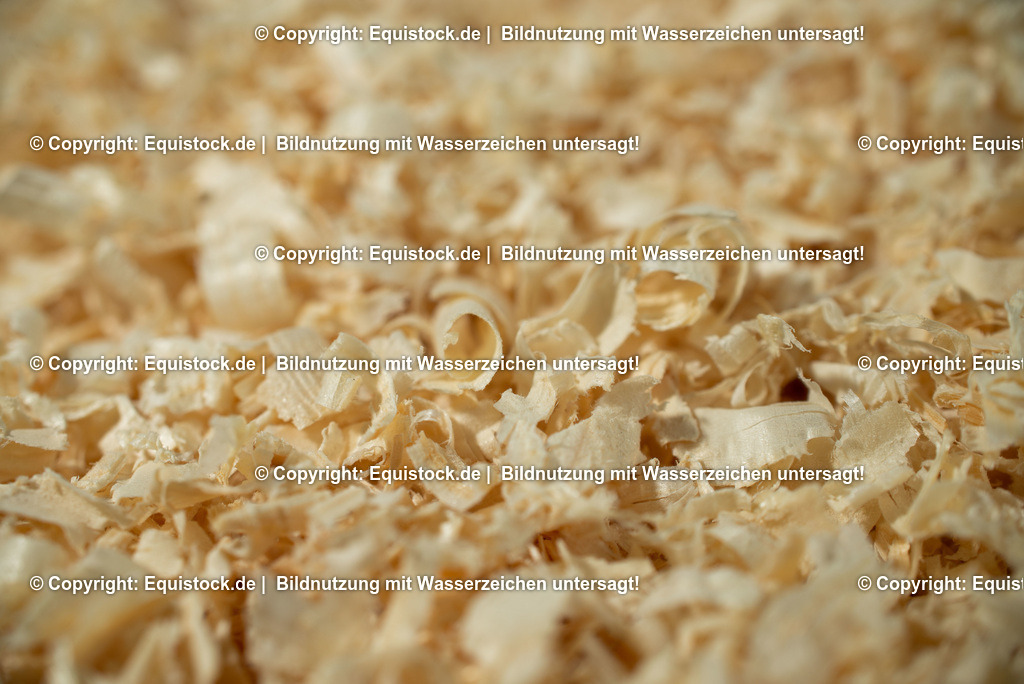 20190409_Excuisit_0010 | Foto: Thomas Hartig