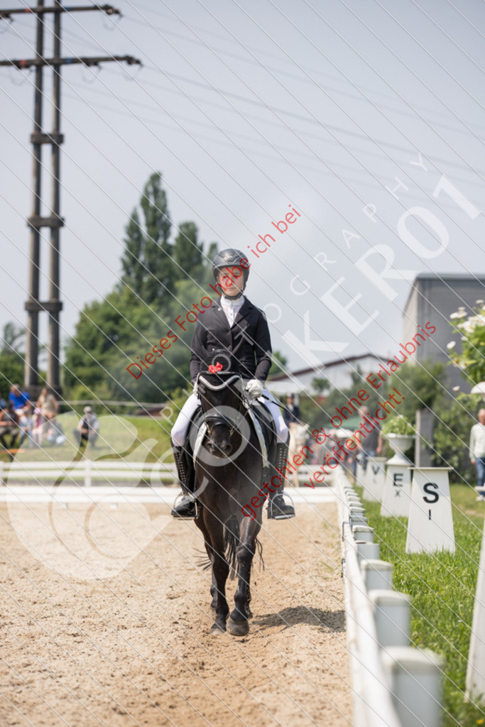 IMG_3670 | Sport-, Event- und Tierfotos in Profiqualität. Einfach auswählen, bestellen und herunterladen. Dein Moment – perfekt festgehalten.