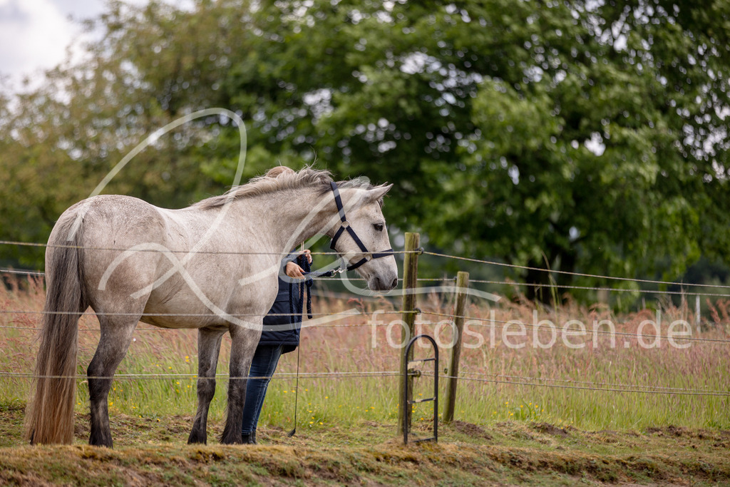 846A0728 | fotosleben - Realisiert mit Pictrs.com