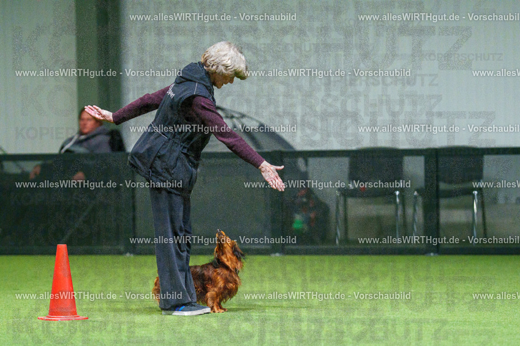 7R503689 | Professionelle Tierfotografie in Mönchengladbach von Daniel Wirth (allesWIRTHgut). Liebevolle & natürliche Bilder von Hunden & Katzen für unvergessliche Erinnerungen.