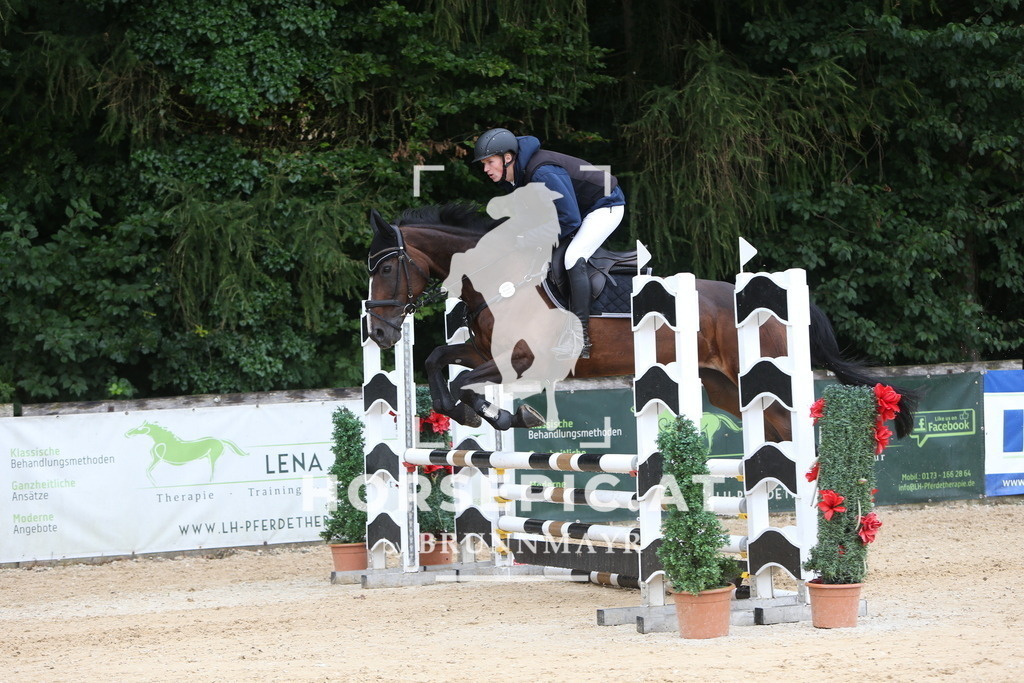 DL2Q1223 | Willkommen bei Brunnmayr - Design & Fotografie – Ihrem Spezialisten für Reitturniere und Pferdeveranstaltungen in Oberösterreich, Salzburg und Bayern! Seit über 17 Jahren sind wir leidenschaftlich dabei.