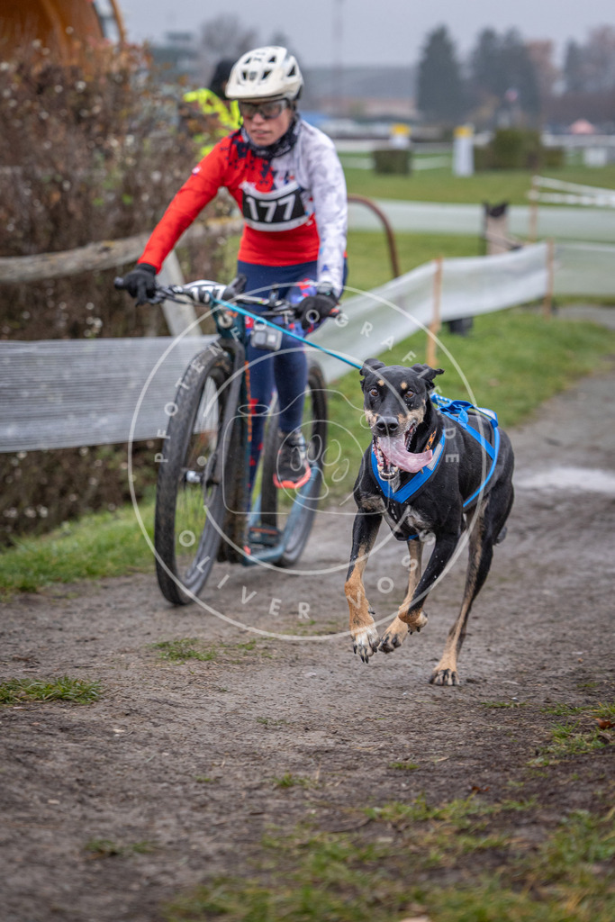 CaniXpix_0L8A0780 | Hundefotografie, Tierfotograf, Pfotenfotografie, Fotoshooting Hund, Hunde Portrait, Hundesport, Hundeportraits, Heideshooting, Hunde, Sportfotograf, Hundefotograf, Turnierhundsport, THS,  - Realisiert mit Pictrs.com