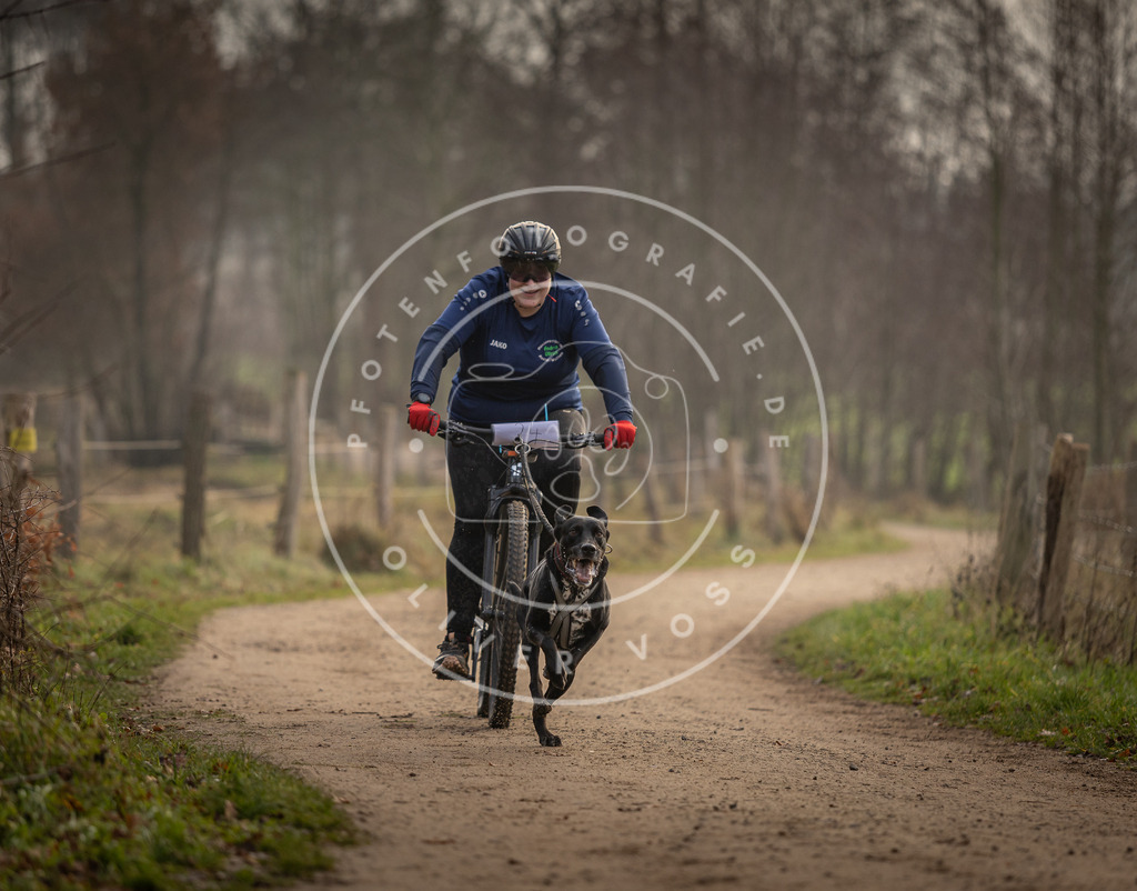 Pfotenfotografie_DV3A2018 | Hundefotografie, Tierfotograf, Pfotenfotografie, Fotoshooting Hund, Hunde Portrait, Hundesport, Hundeportraits, Heideshooting, Hunde, Sportfotograf, Hundefotograf, Turnierhundsport, THS,  - Realisiert mit Pictrs.com