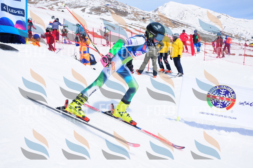 DSC_7299 | holidayphoto