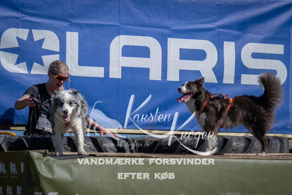 1118_ZZ91127 | kk-dogfotos