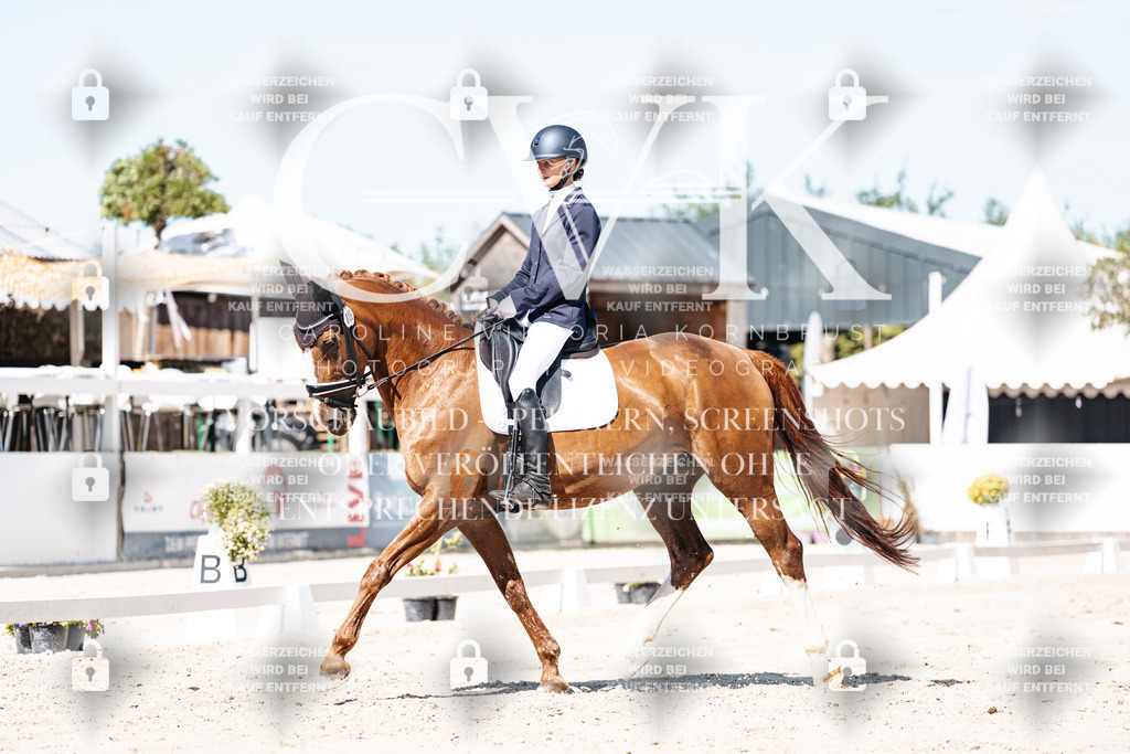 CK909284 | Turnierfotografie Pferdefotografie Trier Rheinland-Pfalz Pferdesport Reitsport Tierfotografie Sportfotografie Pferdevideo Pferdevideografie Equestrianvideography equestrianphotography  - Realisiert mit Pictrs.com