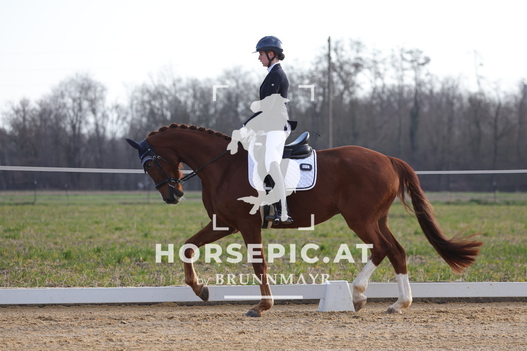 0P6A5915 | Willkommen bei Brunnmayr - Design & Fotografie – Ihrem Spezialisten für Reitturniere und Pferdeveranstaltungen in Oberösterreich, Salzburg und Bayern! Seit über 17 Jahren sind wir leidenschaftlich dabei.