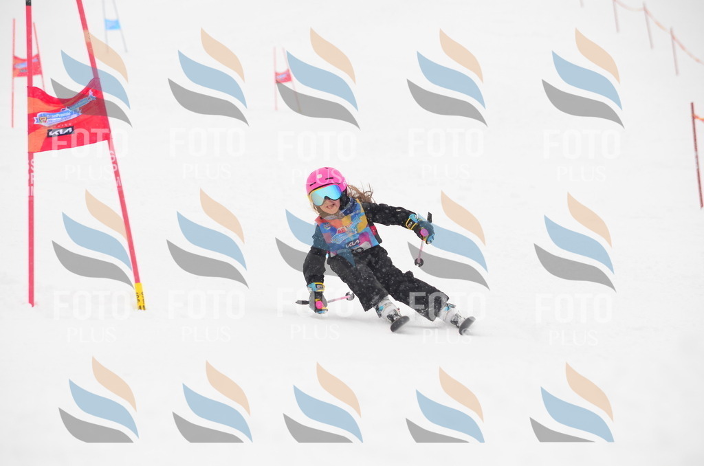 C0673 | holidayphoto