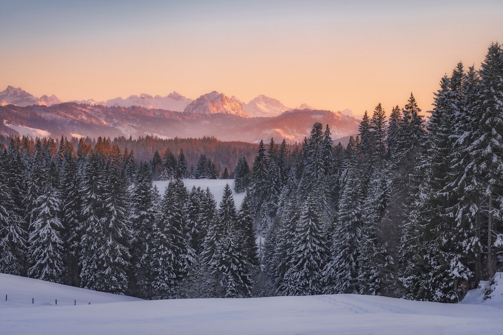 A7403220-Bearbeitet-2-Bearbeitet-Bearbeitet-Bearbeitet | Landschaftsfotografien und Naturfotografien (Schweiz, Europa) auf Leinwand, Postkarten und Poster. Wähle dein Lieblingsfoto und entscheiden selber, welches Fotoprodukt du bestellen willst. Grosse Auswahl an Karten zum Versenden und Verschenken. - Realisiert mit Pictrs.com