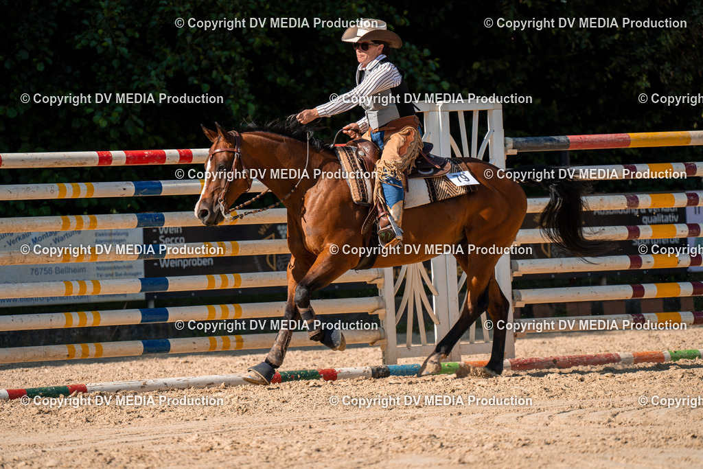 ZH100773 | dv-media-shop - Realisiert mit Pictrs.com