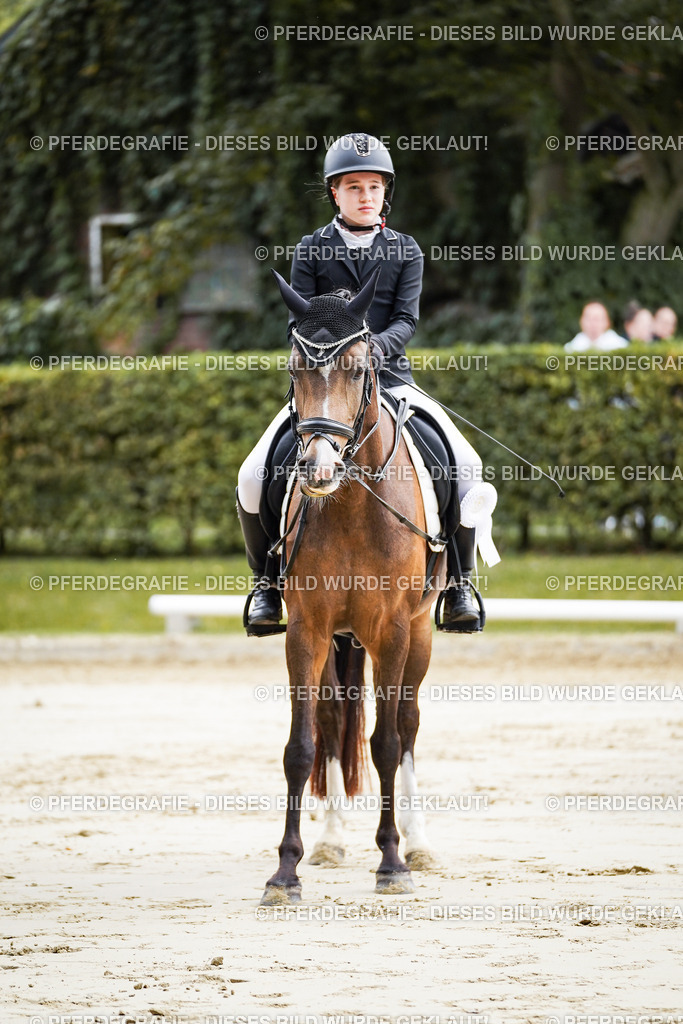 DSC04983 | Pferdegrafie