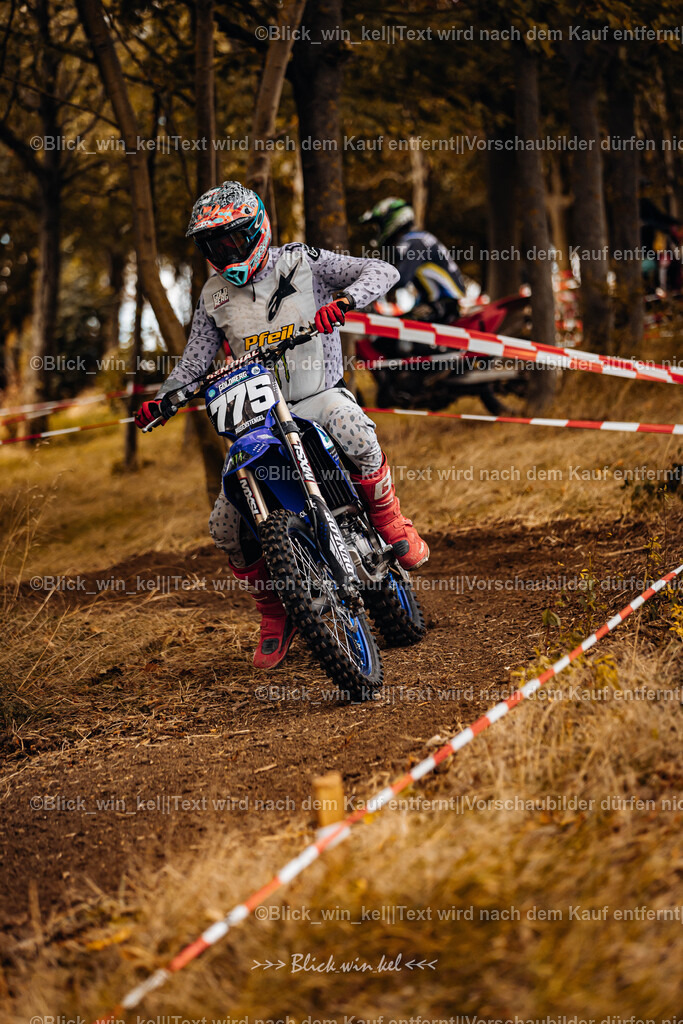 E68A2836 | blick_win_kel