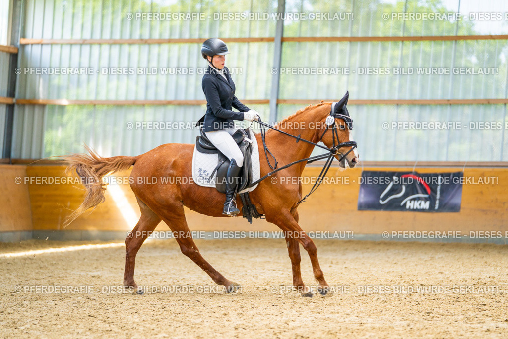 DSC08525 | Pferdegrafie