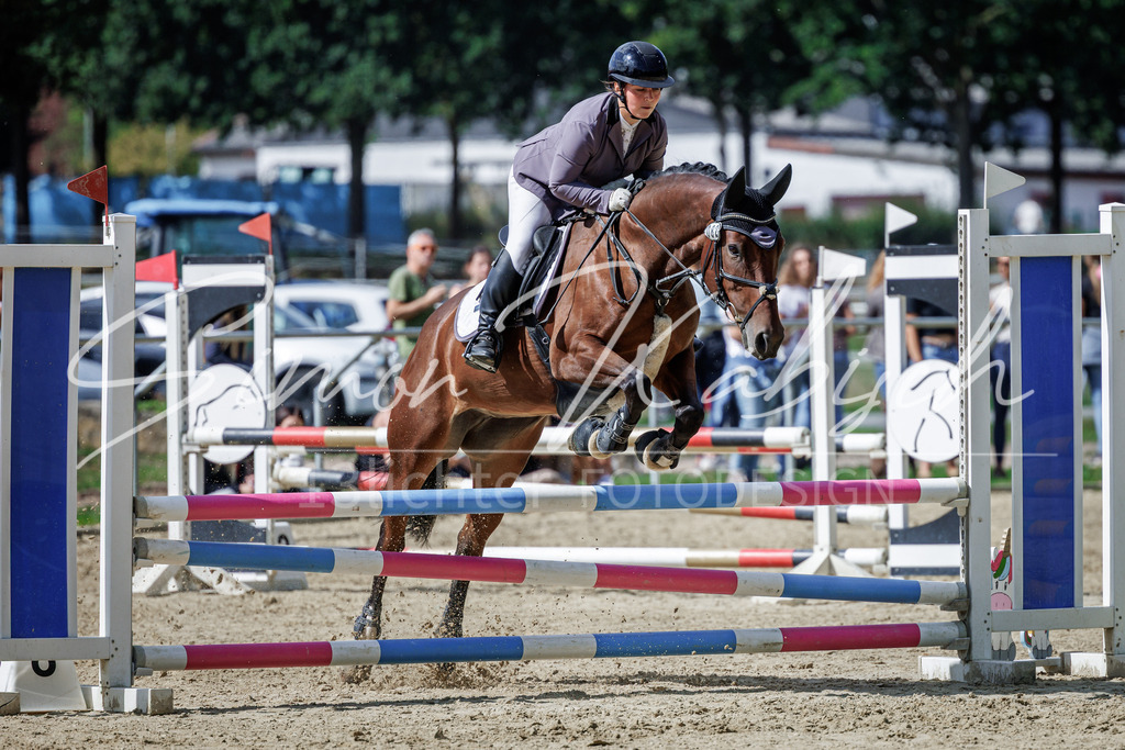 20260905-_3LI8822 | Tierfotografie Pferde, Hunde, Katzen, Haustiere.
Turnierfotografie Reitturniere, Reiten, Springreiten, Dressur in Hanau, dem Main-Kinzig-Kreis und dem Rhein-Main- Gebiet um Frankfurt