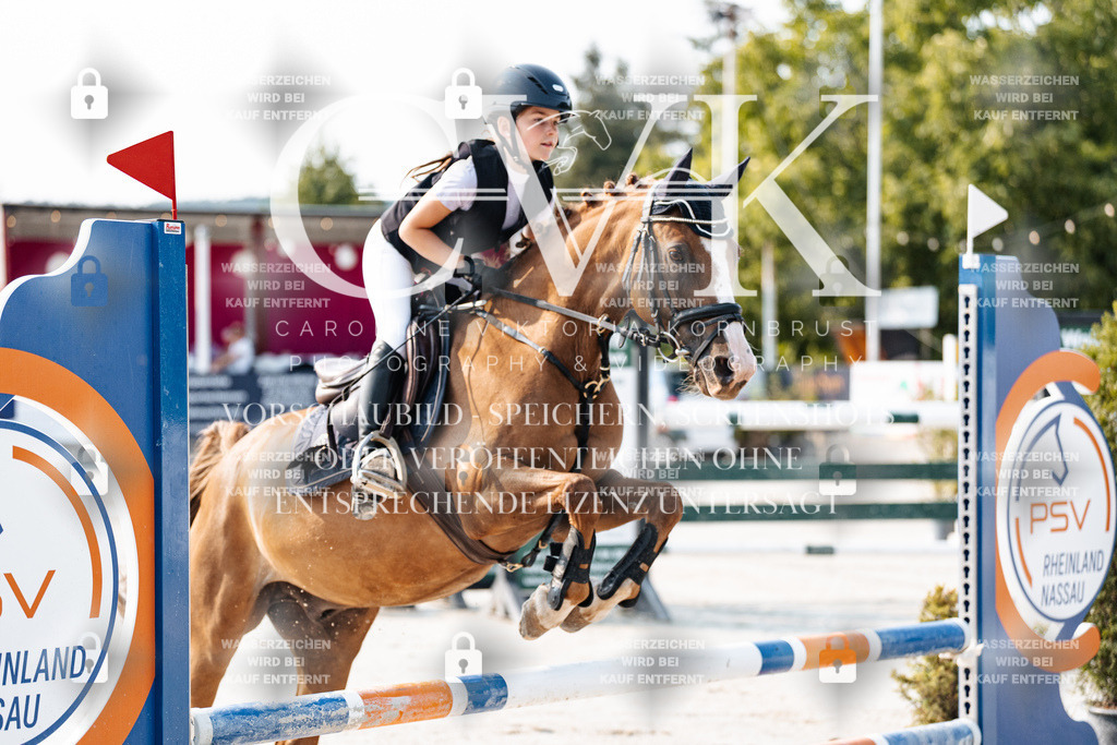 CK902733 | Turnierfotografie Pferdefotografie Trier Rheinland-Pfalz Pferdesport Reitsport Tierfotografie Sportfotografie Pferdevideo Pferdevideografie Equestrianvideography equestrianphotography  - Realisiert mit Pictrs.com
