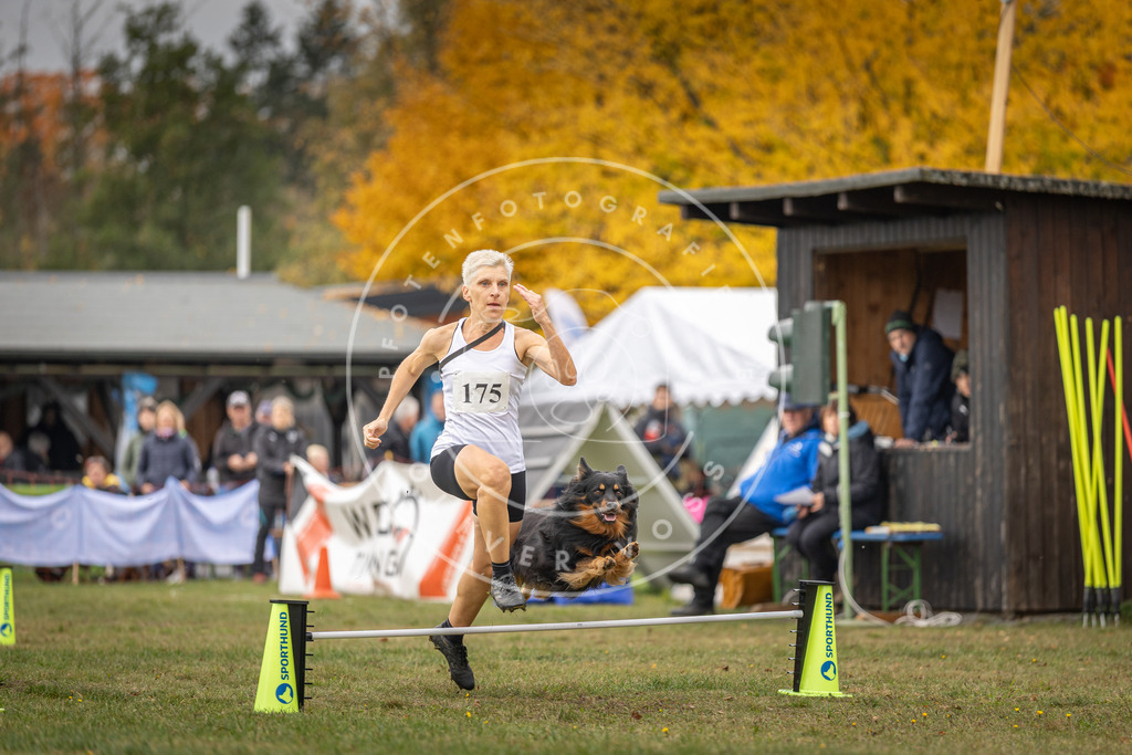 Pfotenfotografie_DV3A5421 | Hundefotografie, Tierfotograf, Pfotenfotografie, Fotoshooting Hund, Hunde Portrait, Hundesport, Hundeportraits, Heideshooting, Hunde, Sportfotograf, Hundefotograf, Turnierhundsport, THS,  - Realisiert mit Pictrs.com