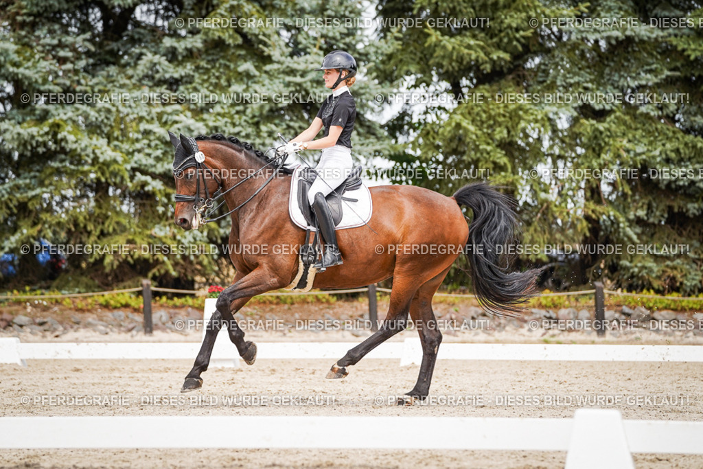 DSC06095 | Pferdegrafie