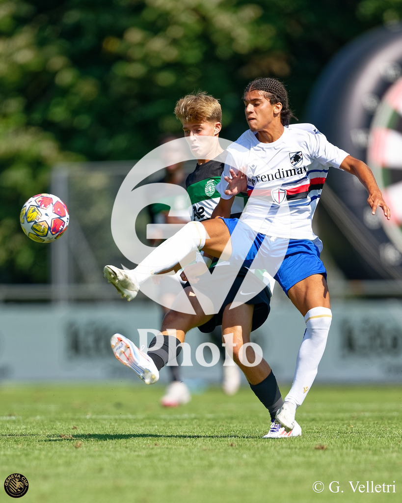 DZ9_5158 | Velletri Photo