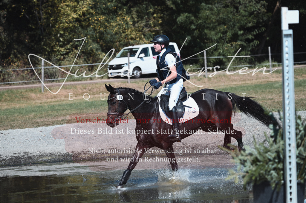 DSC_8452 | Pferde- und Turnierfotografie in Westsachsen. Pferdeportraits, Auftragszeichnungen und intuitive Kunst.