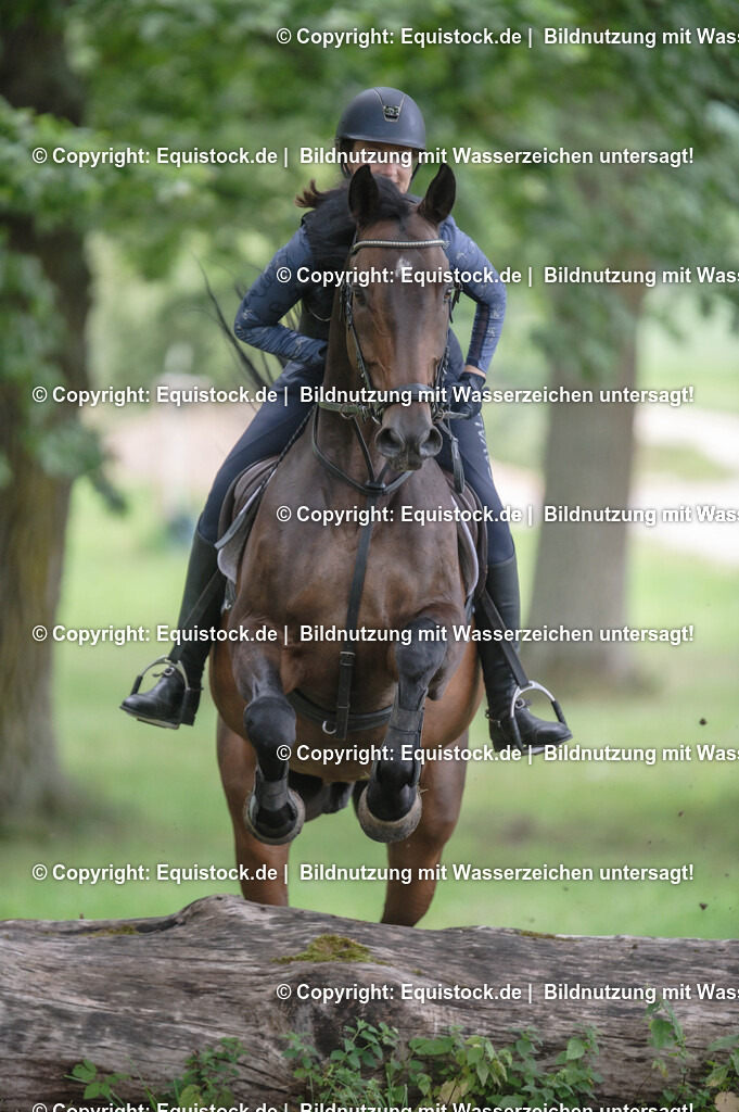 20250726_Vielseitigkeitslehrgang-Marbach_0746 | Foto: Thomas Hartig