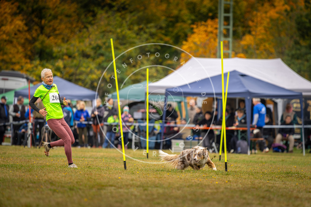 Pfotenfotografie_DV3A2043 | Hundefotografie, Tierfotograf, Pfotenfotografie, Fotoshooting Hund, Hunde Portrait, Hundesport, Hundeportraits, Heideshooting, Hunde, Sportfotograf, Hundefotograf, Turnierhundsport, THS,  - Realisiert mit Pictrs.com