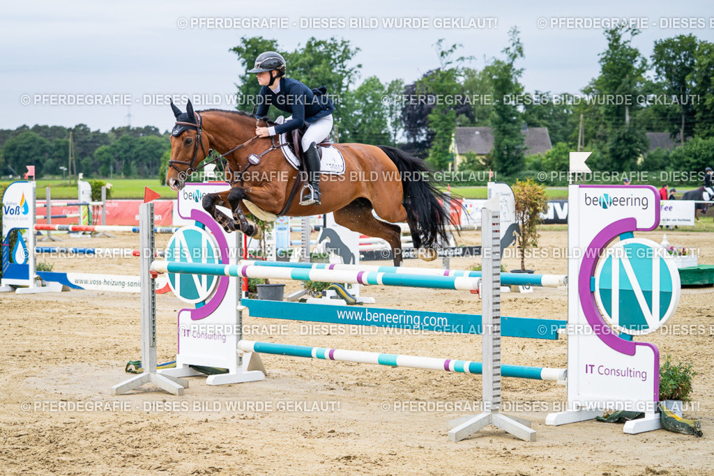 DSC05014 | Pferdegrafie