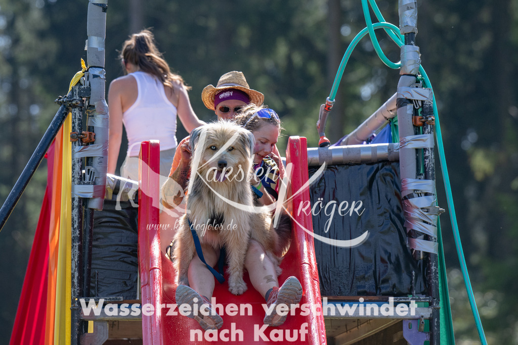 1411_ZZ93901 | kk-dogfotos