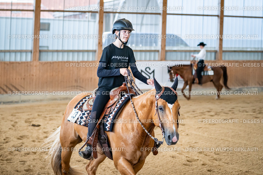 DSC09043 | Pferdegrafie