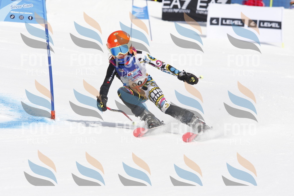 _W1G0968 | holidayphoto