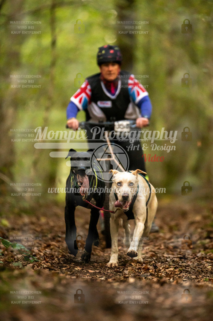 TSB_2023_E1_DS2-28 | mompixphotography