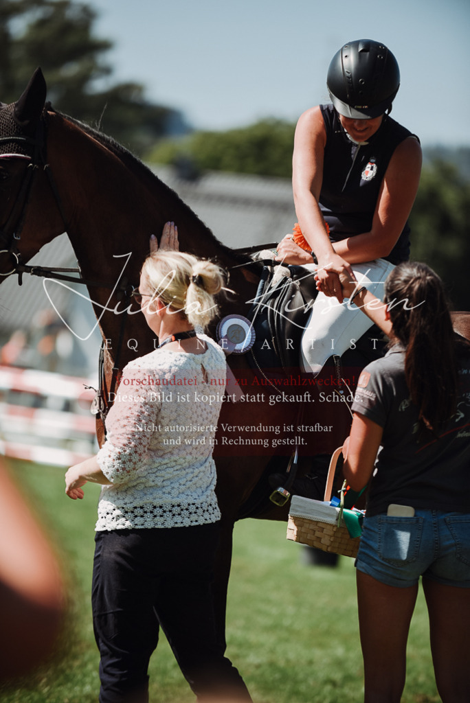 DSC_3336 | Pferde- und Turnierfotografie in Westsachsen. Pferdeportraits, Auftragszeichnungen und intuitive Kunst.
