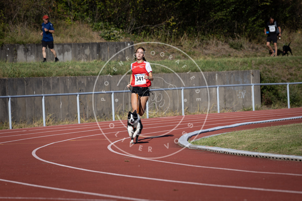 Pfotenfotografie_DV3A8202 | Hundefotografie, Tierfotograf, Pfotenfotografie, Fotoshooting Hund, Hunde Portrait, Hundesport, Hundeportraits, Heideshooting, Hunde, Sportfotograf, Hundefotograf, Turnierhundsport, THS,  - Realisiert mit Pictrs.com