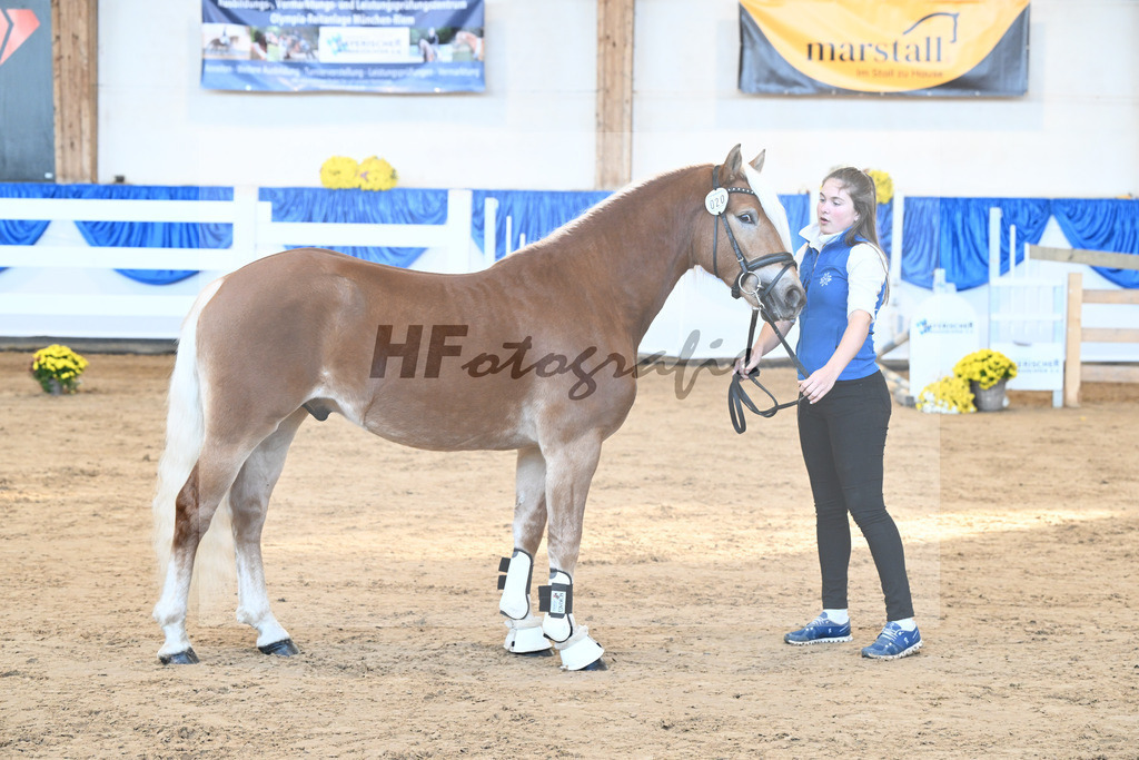 Kat-Nr. 20 nn v. Nakuri_Linder_48250390 | hf-fotografie - Realisiert mit Pictrs.com