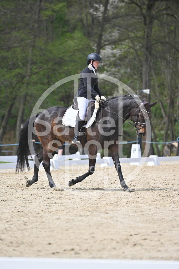 DSC_3155 | sattelsport - Realisiert mit Pictrs.com