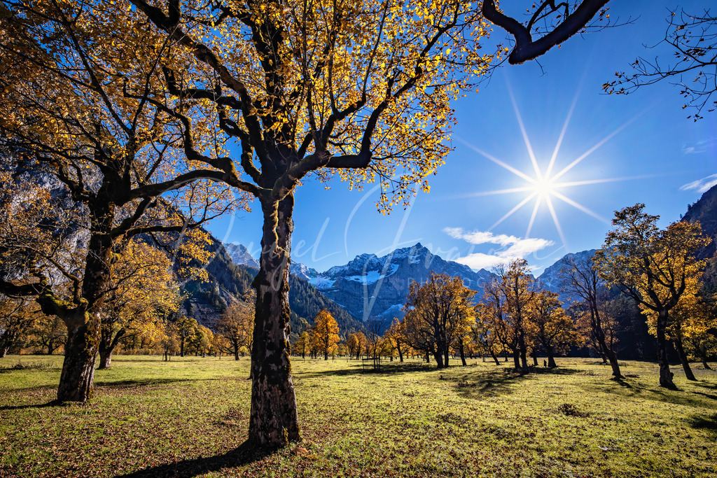 Großer Ahornboden | Herbst am Großen Ahornboden